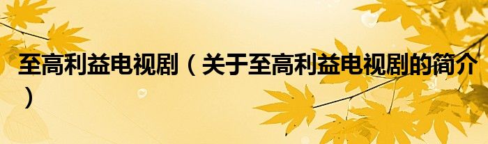 至高利益電視?。P于至高利益電視劇的簡介）