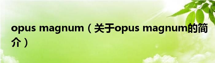 opus magnum（關(guān)于opus magnum的簡(jiǎn)介）