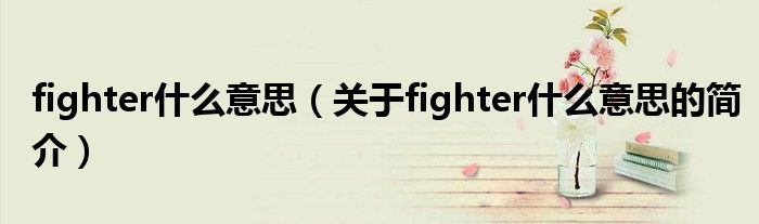 fighter什么意思（關(guān)于fighter什么意思的簡介）