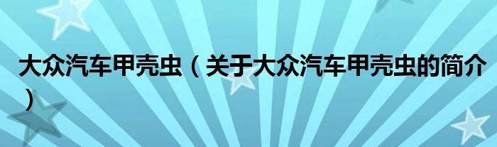 大眾汽車(chē)甲殼蟲(chóng)（關(guān)于大眾汽車(chē)甲殼蟲(chóng)的簡(jiǎn)介）