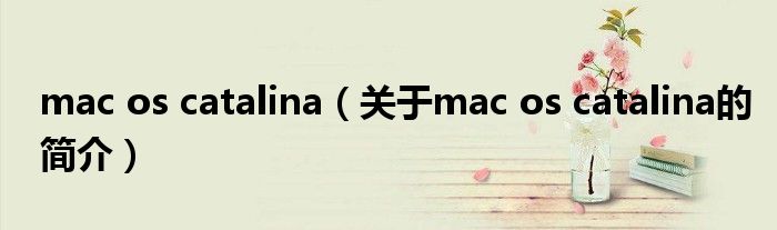 mac os catalina（關(guān)于mac os catalina的簡(jiǎn)介）