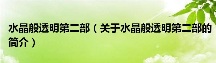 水晶般透明第二部（關(guān)于水晶般透明第二部的簡介）