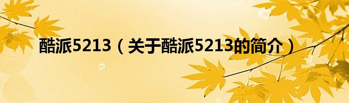 酷派5213（關(guān)于酷派5213的簡介）