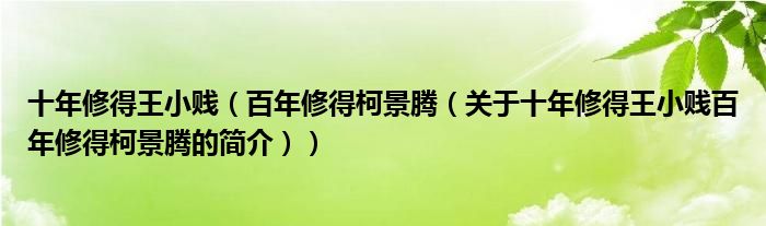 十年修得王小賤（百年修得柯景騰（關(guān)于十年修得王小賤百年修得柯景騰的簡(jiǎn)介））