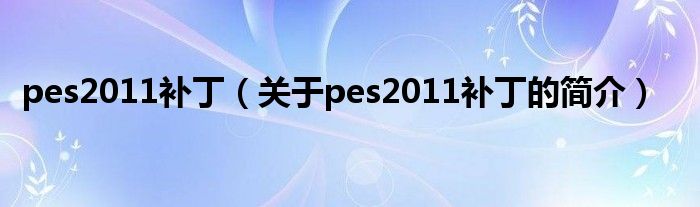 pes2011補?。P(guān)于pes2011補丁的簡介）