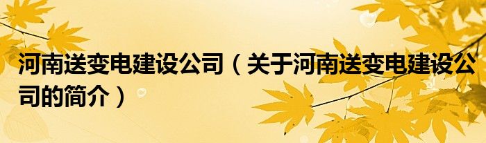 河南送變電建設(shè)公司（關(guān)于河南送變電建設(shè)公司的簡介）