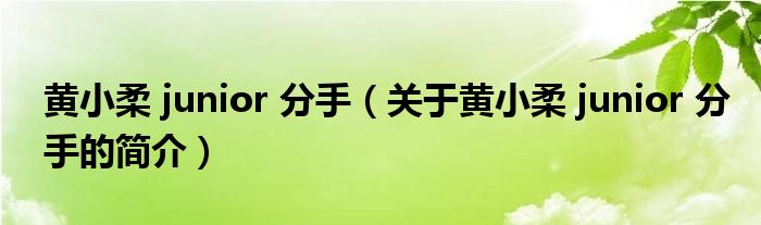 黃小柔 junior 分手（關(guān)于黃小柔 junior 分手的簡(jiǎn)介）