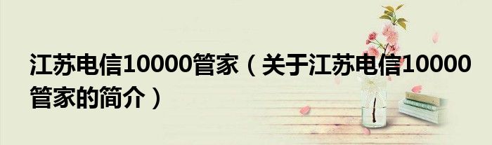 江蘇電信10000管家（關(guān)于江蘇電信10000管家的簡介）