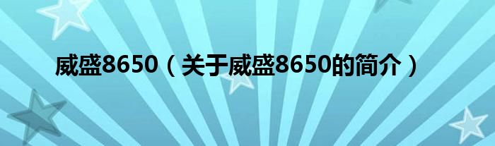 威盛8650（關(guān)于威盛8650的簡介）