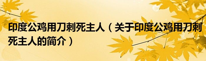 印度公雞用刀刺死主人（關于印度公雞用刀刺死主人的簡介）