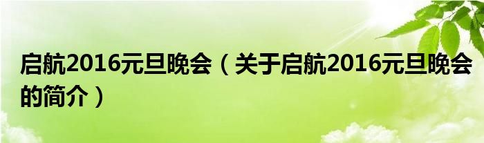 啟航2016元旦晚會(huì)（關(guān)于啟航2016元旦晚會(huì)的簡(jiǎn)介）