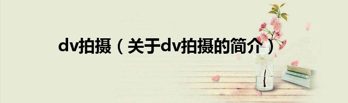 dv拍攝（關(guān)于dv拍攝的簡介）