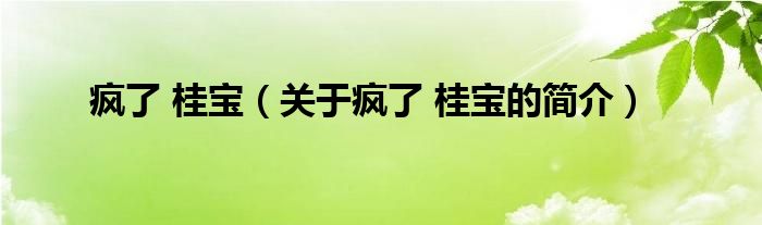 瘋了 桂寶（關(guān)于瘋了 桂寶的簡介）