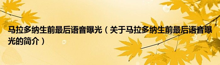 馬拉多納生前最后語音曝光（關于馬拉多納生前最后語音曝光的簡介）