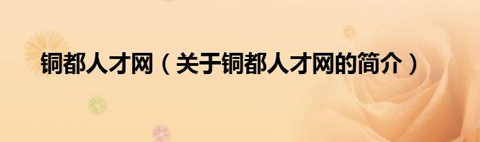 銅都人才網(wǎng)（關(guān)于銅都人才網(wǎng)的簡(jiǎn)介）