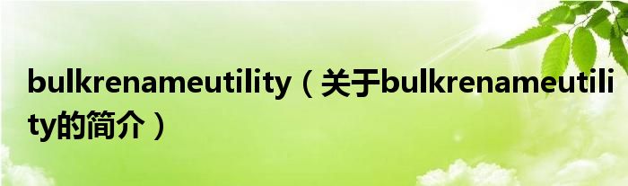 bulkrenameutility（關(guān)于bulkrenameutility的簡介）