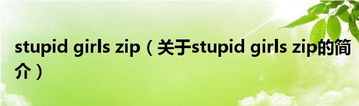 stupid girls zip（關于stupid girls zip的簡介）