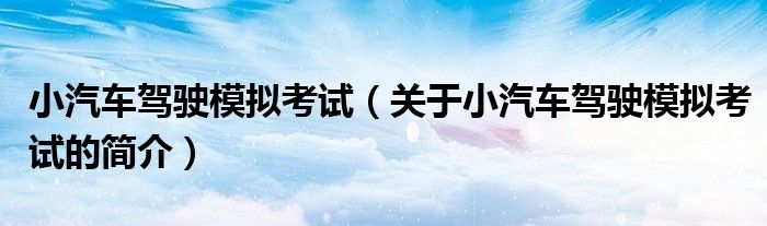 小汽車駕駛模擬考試（關(guān)于小汽車駕駛模擬考試的簡(jiǎn)介）