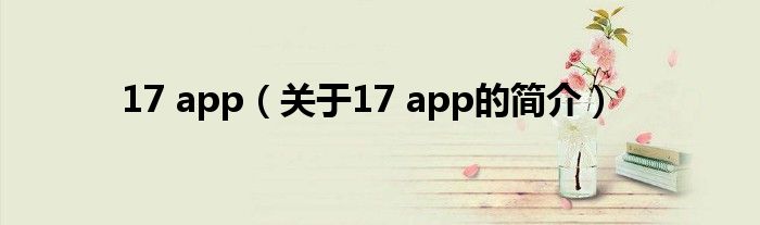 17 app（關(guān)于17 app的簡(jiǎn)介）