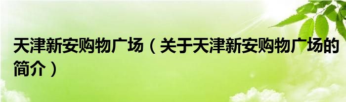 天津新安購(gòu)物廣場(chǎng)（關(guān)于天津新安購(gòu)物廣場(chǎng)的簡(jiǎn)介）