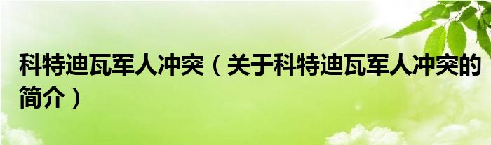 科特迪瓦軍人沖突（關(guān)于科特迪瓦軍人沖突的簡(jiǎn)介）