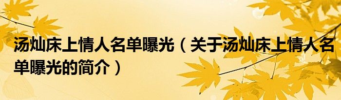 湯燦床上情人名單曝光（關(guān)于湯燦床上情人名單曝光的簡介）