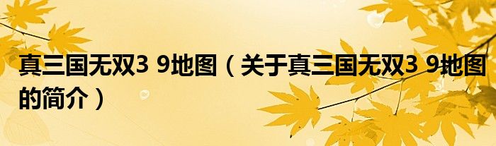 真三國(guó)無(wú)雙3 9地圖（關(guān)于真三國(guó)無(wú)雙3 9地圖的簡(jiǎn)介）