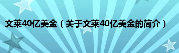 文萊40億美金（關(guān)于文萊40億美金的簡介）