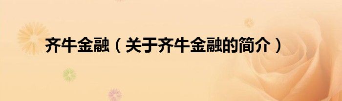 齊牛金融（關(guān)于齊牛金融的簡介）