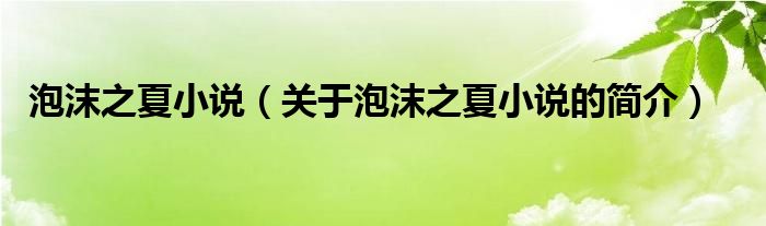 泡沫之夏小說（關(guān)于泡沫之夏小說的簡介）