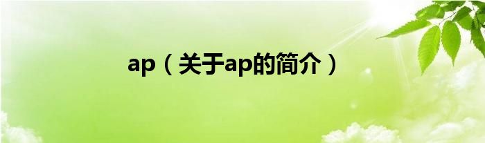 ap（關(guān)于ap的簡介）