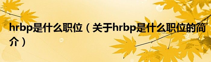 hrbp是什么職位（關(guān)于hrbp是什么職位的簡(jiǎn)介）