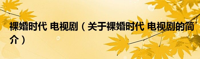 裸婚時(shí)代 電視?。P(guān)于裸婚時(shí)代 電視劇的簡(jiǎn)介）