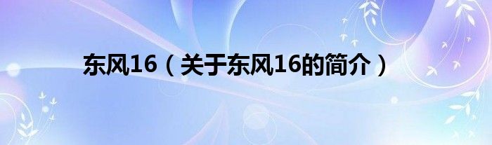 東風(fēng)16（關(guān)于東風(fēng)16的簡介）