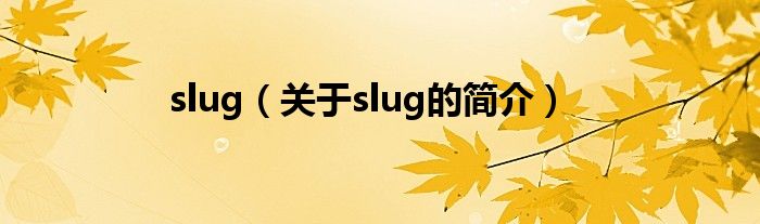 slug（關于slug的簡介）