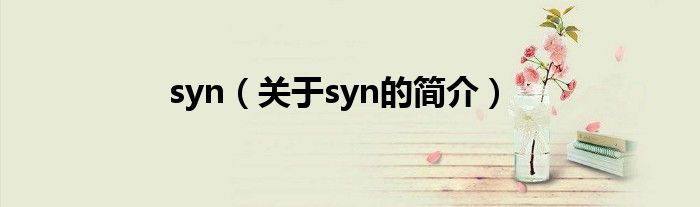 syn（關(guān)于syn的簡介）