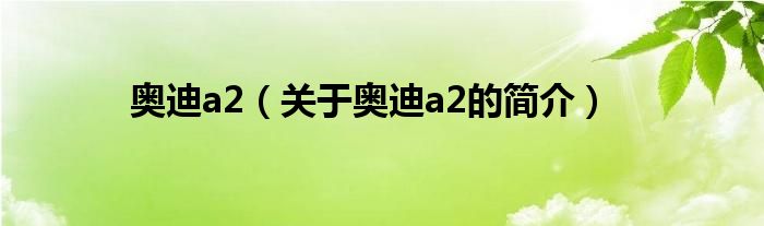 奧迪a2（關(guān)于奧迪a2的簡(jiǎn)介）