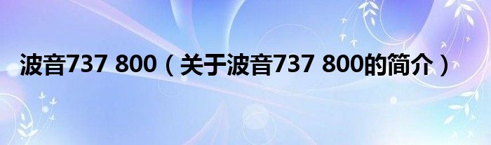 波音737 800（關(guān)于波音737 800的簡(jiǎn)介）