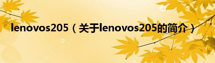 lenovos205（關(guān)于lenovos205的簡介）