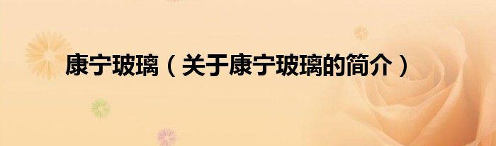 康寧玻璃（關(guān)于康寧玻璃的簡(jiǎn)介）