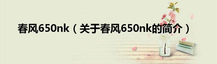 春風650nk（關于春風650nk的簡介）