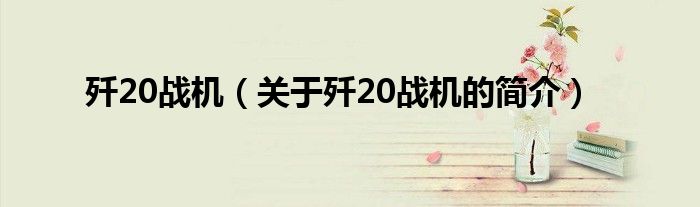 殲20戰(zhàn)機(jī)（關(guān)于殲20戰(zhàn)機(jī)的簡(jiǎn)介）