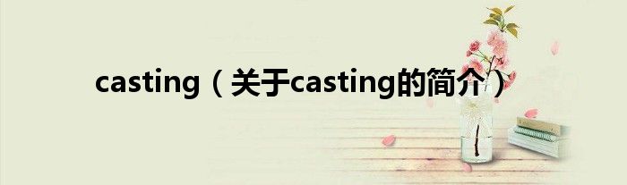 casting（關(guān)于casting的簡介）