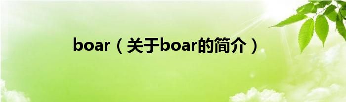 boar（關(guān)于boar的簡介）