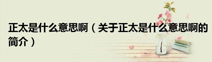 正太是什么意思?。P(guān)于正太是什么意思啊的簡(jiǎn)介）