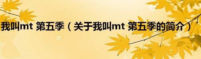 我叫mt 第五季（關于我叫mt 第五季的簡介）