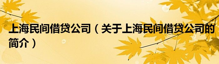 上海民間借貸公司（關(guān)于上海民間借貸公司的簡(jiǎn)介）