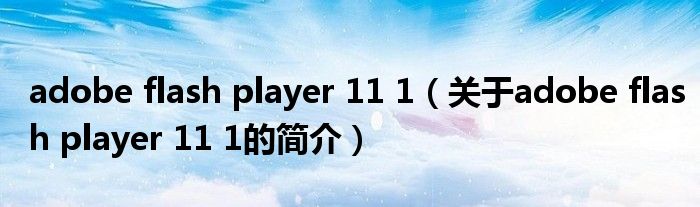 adobe flash player 11 1（關于adobe flash player 11 1的簡介）