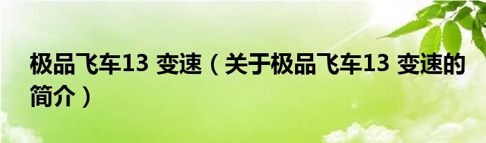 極品飛車13 變速（關(guān)于極品飛車13 變速的簡介）