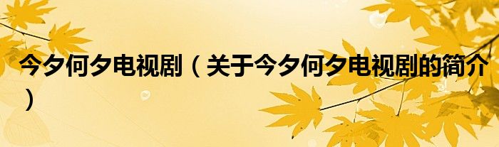 今夕何夕電視?。P(guān)于今夕何夕電視劇的簡(jiǎn)介）